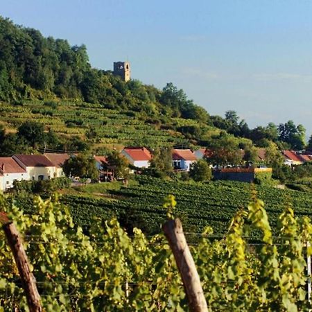 Prabatsch-Aichinger Winzergut Apartamento Langenlois Exterior foto